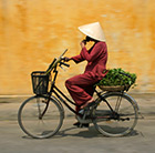 Vietnam Travel Guide & Sightseeing | Flight Center USA