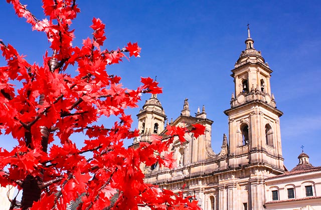 Archbishopric Cathedral of Bogotá