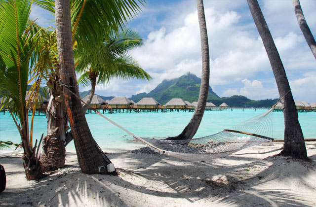 Relax on a Hammock, Bora Bora