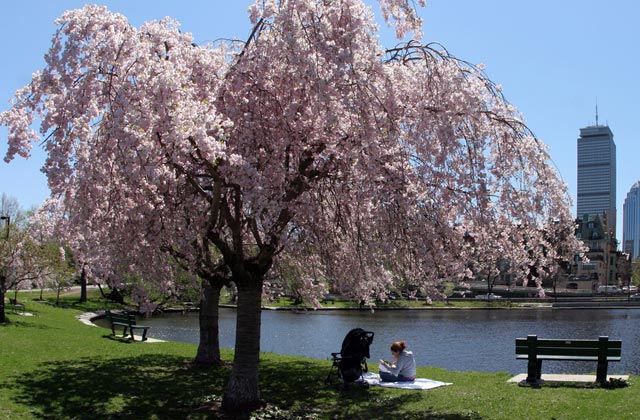 Relax in the City Parks