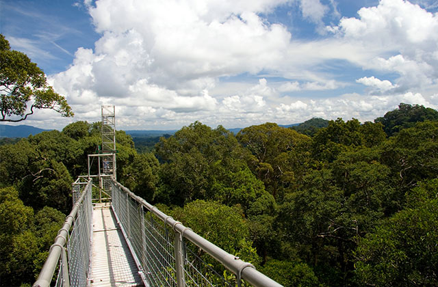 Ulu Temburong National Park