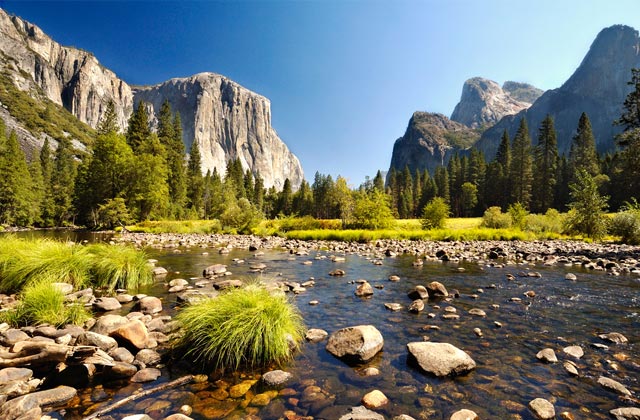 Yosemite National Park