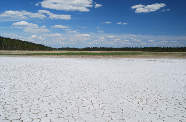 Salt Plains, Wood Buffalo National Park, Alberta | by Flight Centre's Darcie Cutherbert
