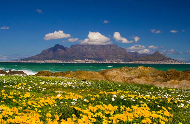 Table Mountain