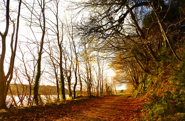 The countryside around Cork