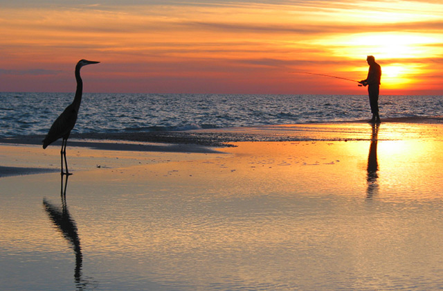 Fishing on the Beach with a Brolga watching