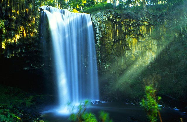 The beautiful Trentham Falls.