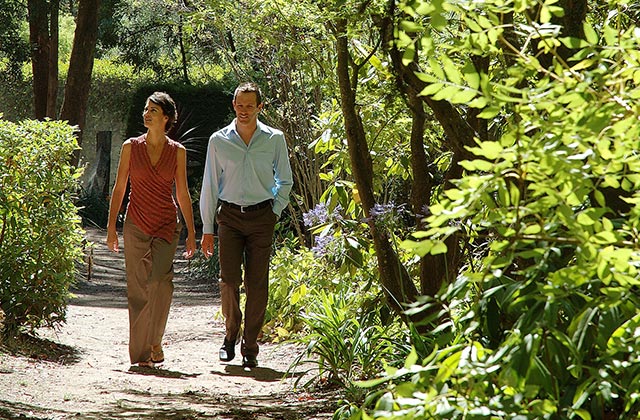 Leisurely walk through the Daylesford and Macedonia Ranges.