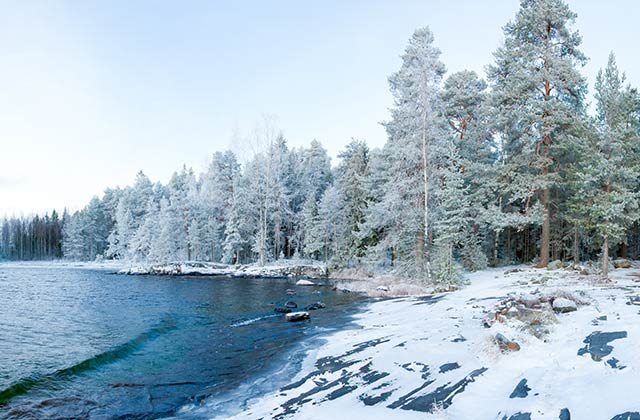 A beautiful blanket of snow