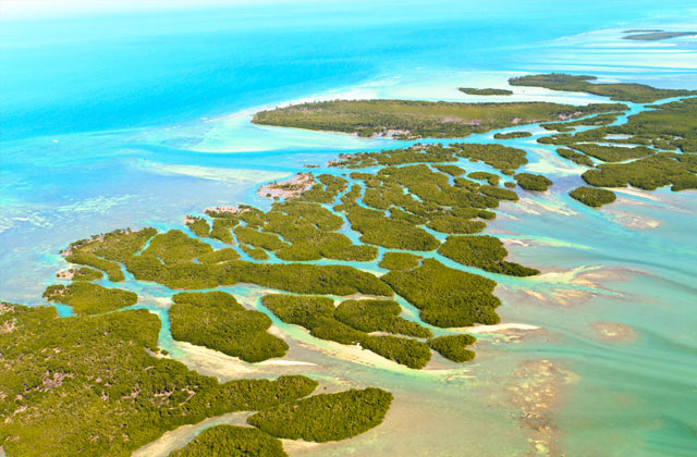 Florida Keys