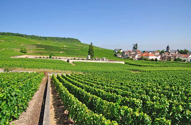 Oger, Champagne Region near Epernay