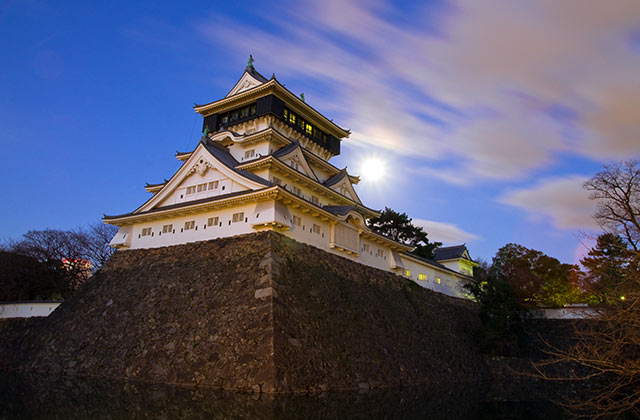 Fukuoka Castle