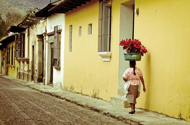 Traditional Architecture, Antigua