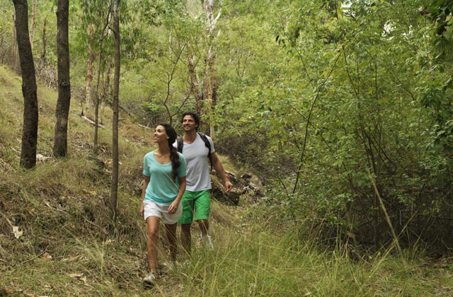 Terrain, Hamilton Island