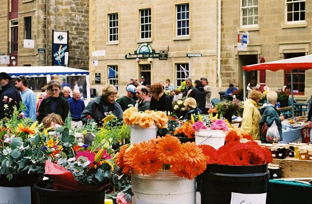 Flowers for Sale, Salamanca Markets