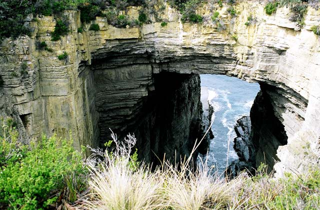 Tasmanian scenery, day trip from Hobart  | by Flight Centre's Tiffany Apatu