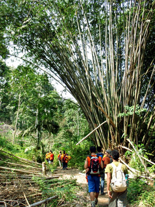 Trekking, Sumatra