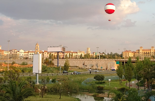 Johannesburg Gardens