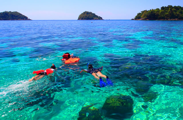 Admire the marine life