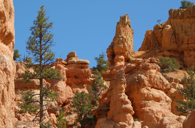 Red Rock Canyon, a day trip from Las Vegas | by Flight Centre's Corey White