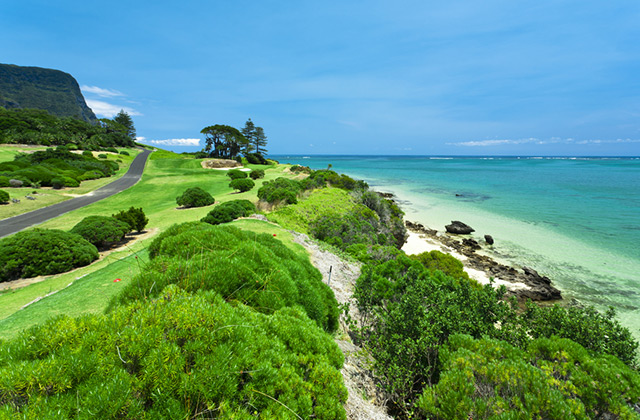 Lush Terrain, Lord Howe Island