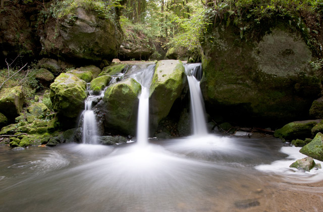 Mullerthal Waterfalls