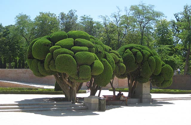 Buen Retiro Park | by Flight Centre's Deryk Lee