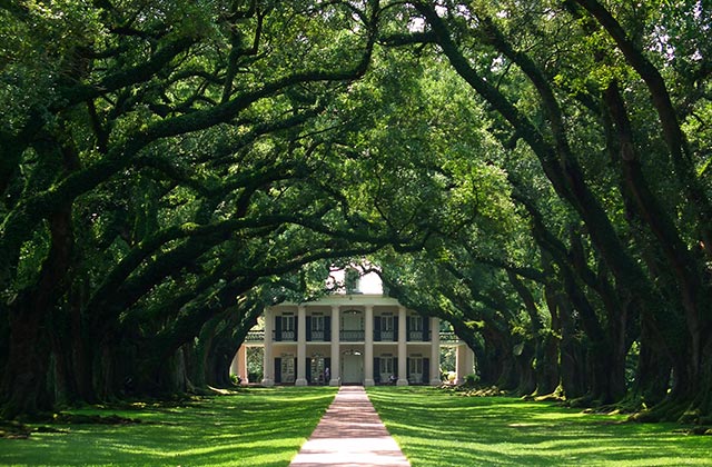 A Beautiful Plantation Home