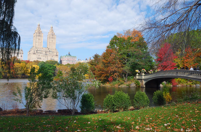 Autumn, Central Park