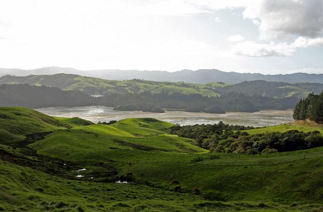Coromandel Peninsula | by Flight Centre's Tracy McEwan