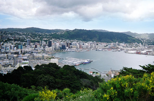 Mt Victoria Lookout, Wellington | by Flight Centre's Tiffany Apatu