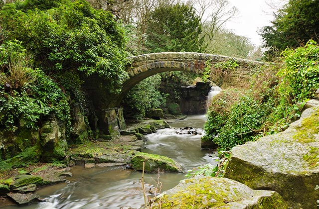 Jesmond Dene