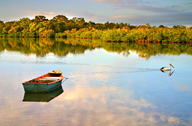 Lone Boat and Pelican