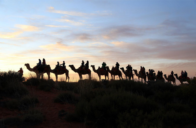 Camel Tour at Uluru | by Flight Centre's Jade Hateley