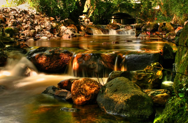 Stream near Rostrevor