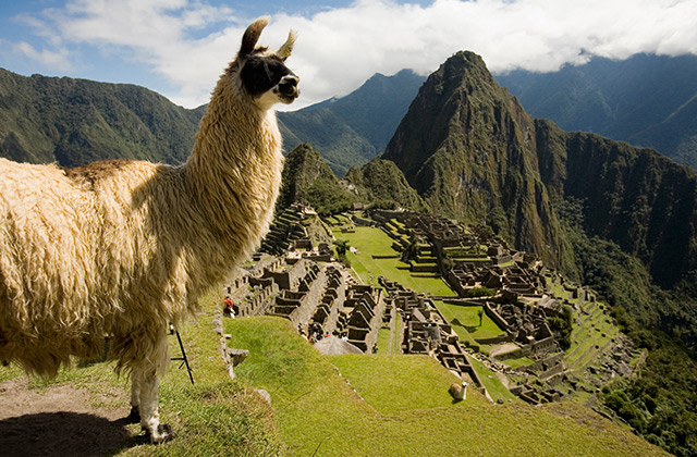 Machu Picchu