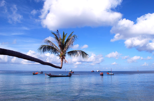 Ocean Views | by Flight Centre's Ally Allison