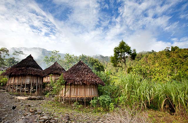 Traditional Huts