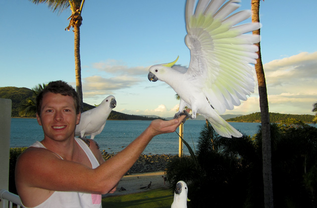 Cockatoo, Daydream Island | by Flight Centre's Kimberley Scriven