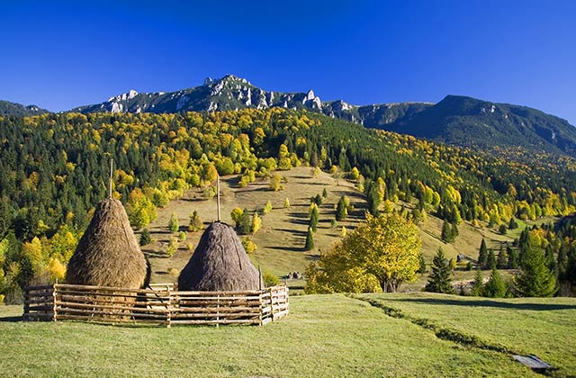 The beautiful landscape