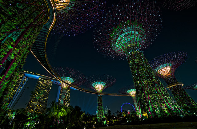 Night sky in Gardens by the Bay