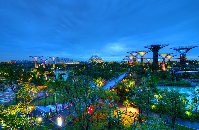 Twilight in Gardens by the Bay
