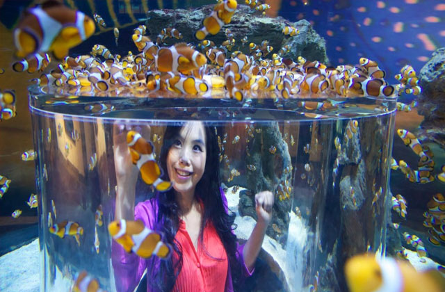 Two Oceans Aquarium, Cape Town