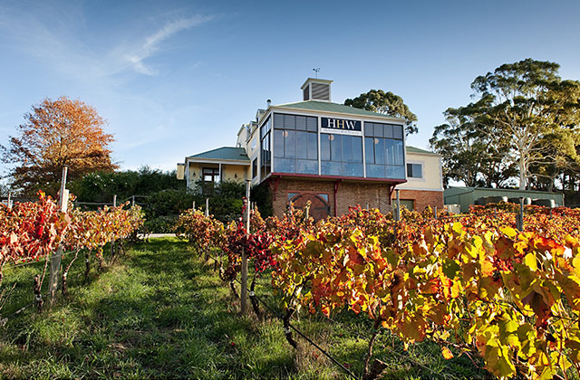 Hahndorf Hill Winery, Hahndorf | © SATC