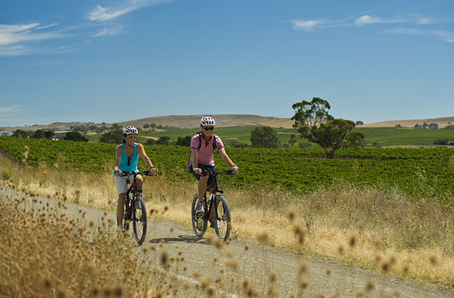 Cyling the Riesling Trail | © SATC