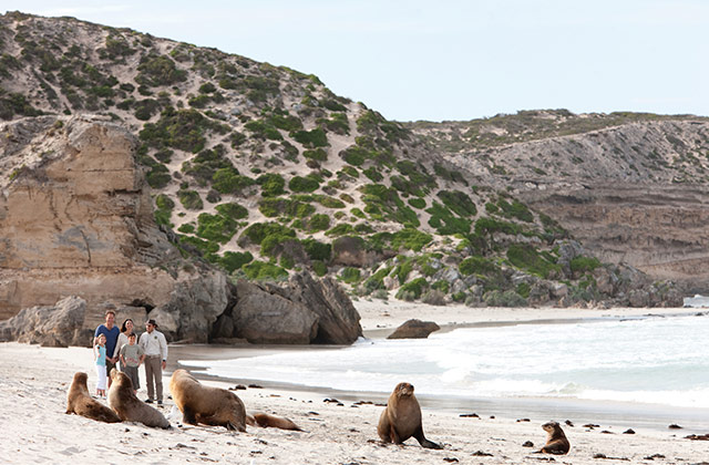 Seal Bay Conservation Park, Kangaroo Island | © SATC