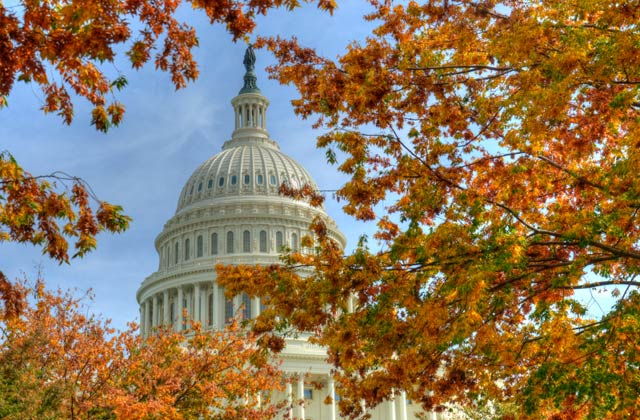 Autumn Colours, Capitol Hill