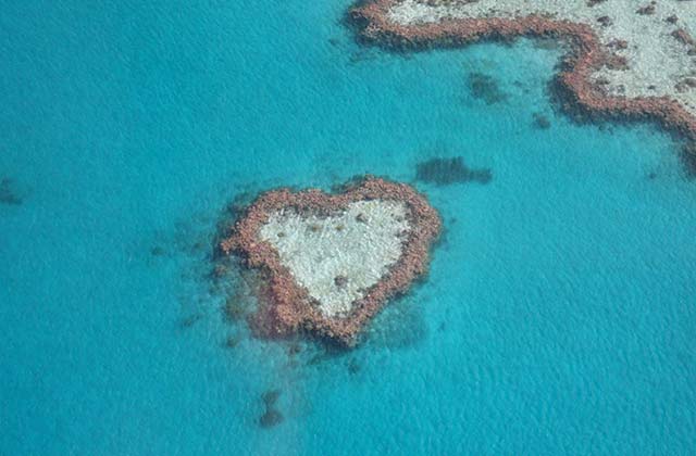 Heart Reef
